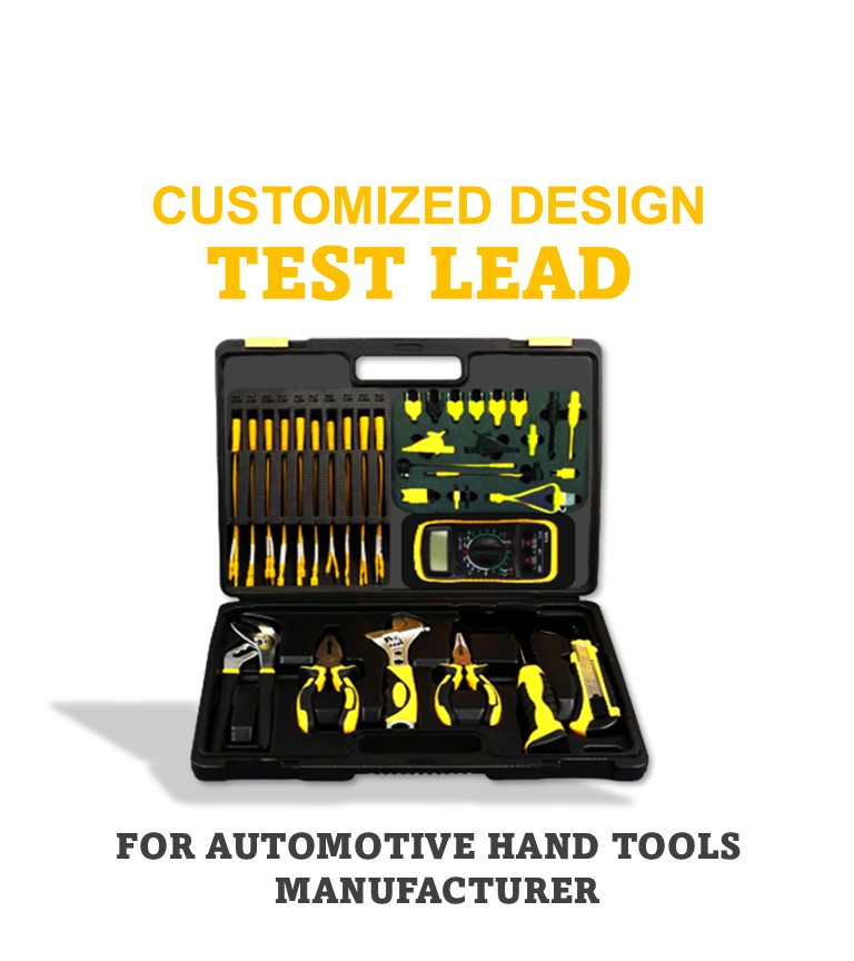 Customized Design Test Lead
