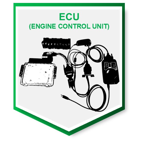  ECU (Engine Control Unit)